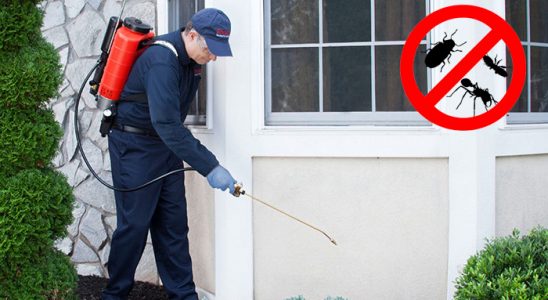 Başmakçı Fare İlaçlama böcek ilaçlama ve haşere kontrolü — ilaclama-tr.com